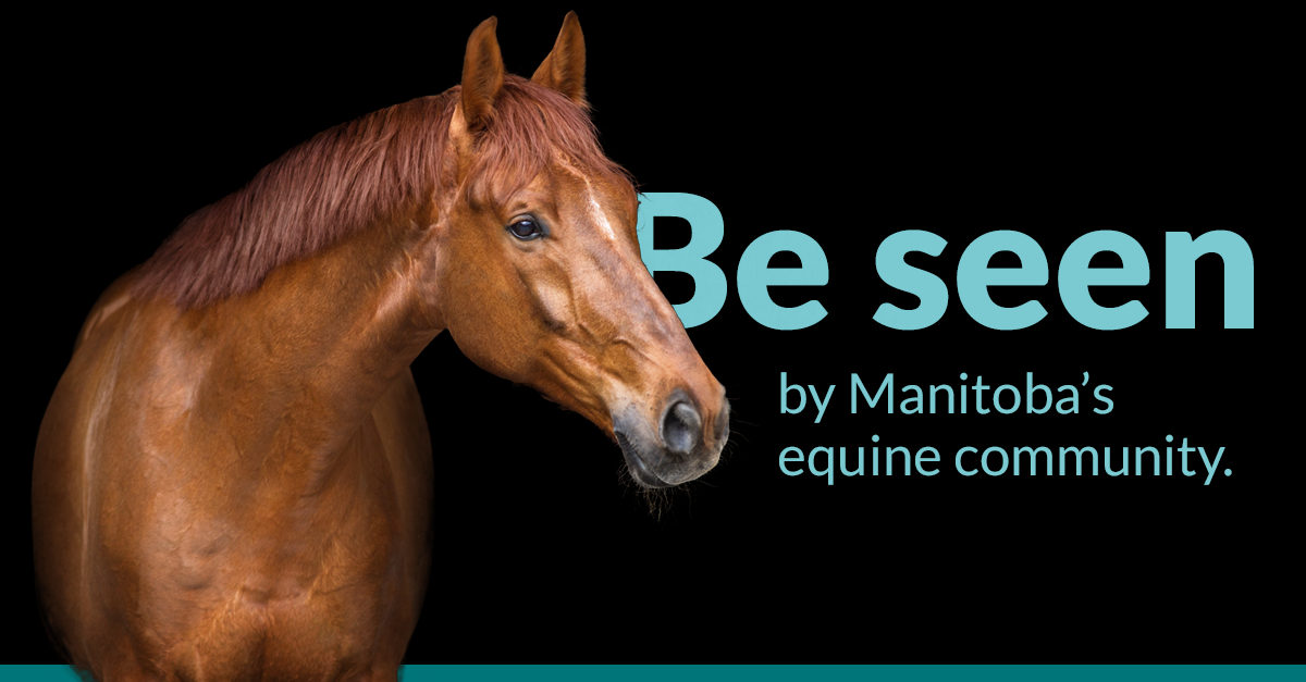 Photo of a chestnut horse with the text Be Seen by Manitoba's Horse Community