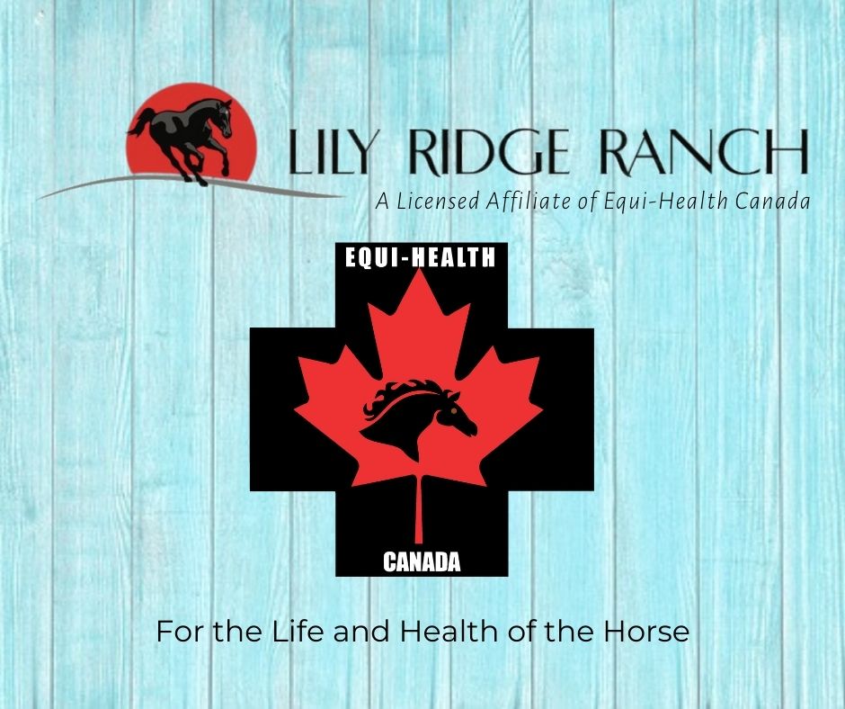 Lily Ridge MHC Offer Details